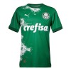 Oficiální Fotbalový Dres Palmeiras Special 2024 Zelená pro Muži